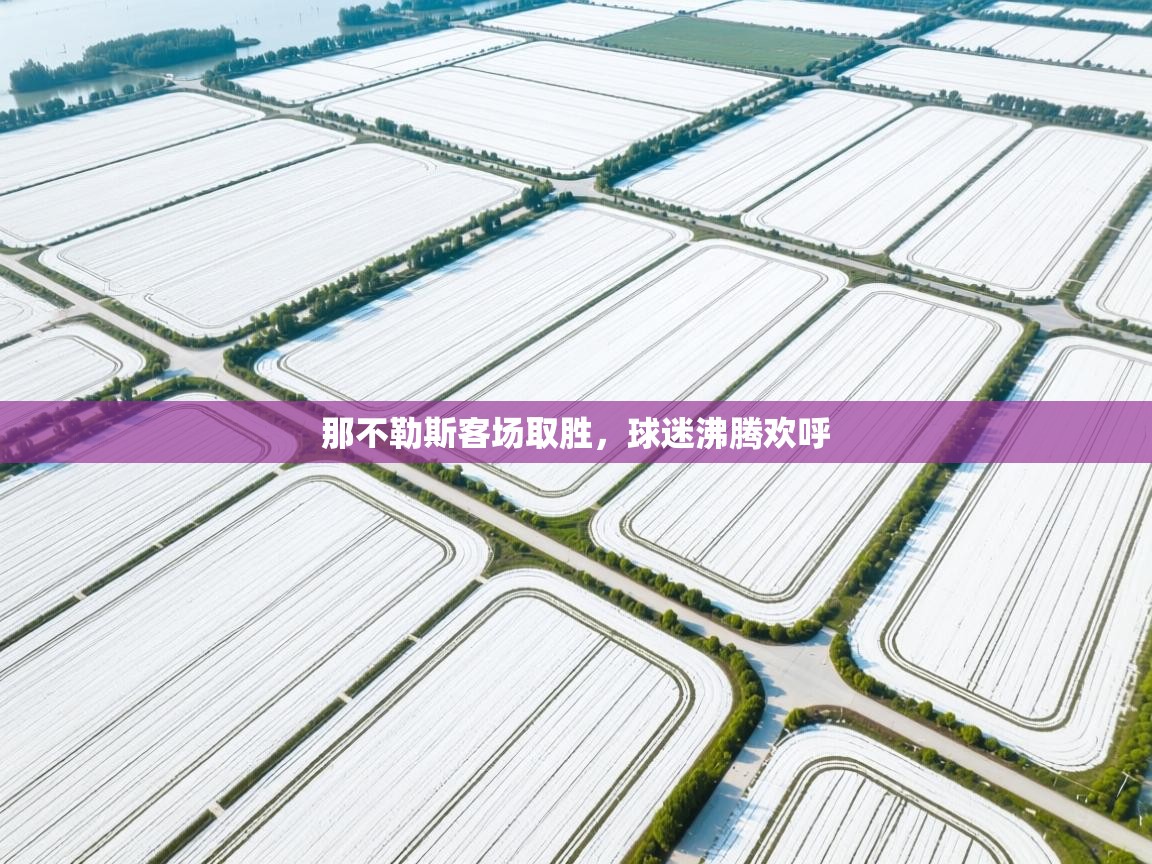 那不勒斯客场取胜，球迷沸腾欢呼  第2张