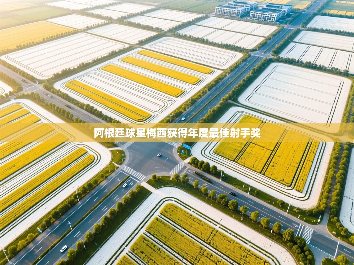 阿根廷球星梅西获得年度最佳射手奖  第2张